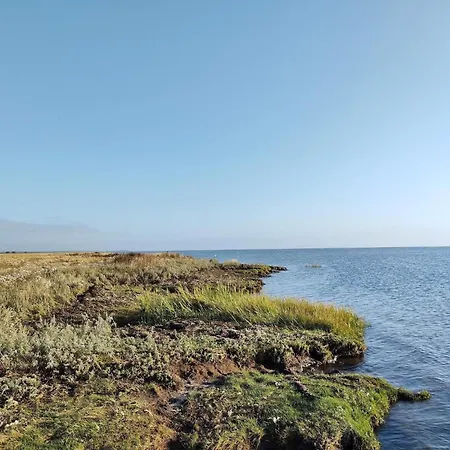 5 Person In Hals-by Traum